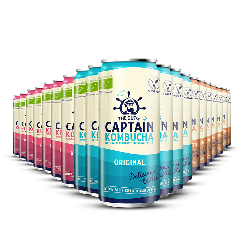 GUTsy Captain Kombucha - Multi-Geschmacks-Pack Dosen 20 x 250ml